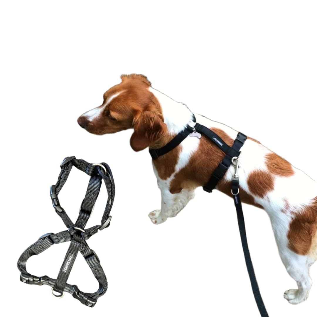 PERROS ペルロス　ハーネス　　　　　　 　M (PA20) imgrc0113555719.jpg